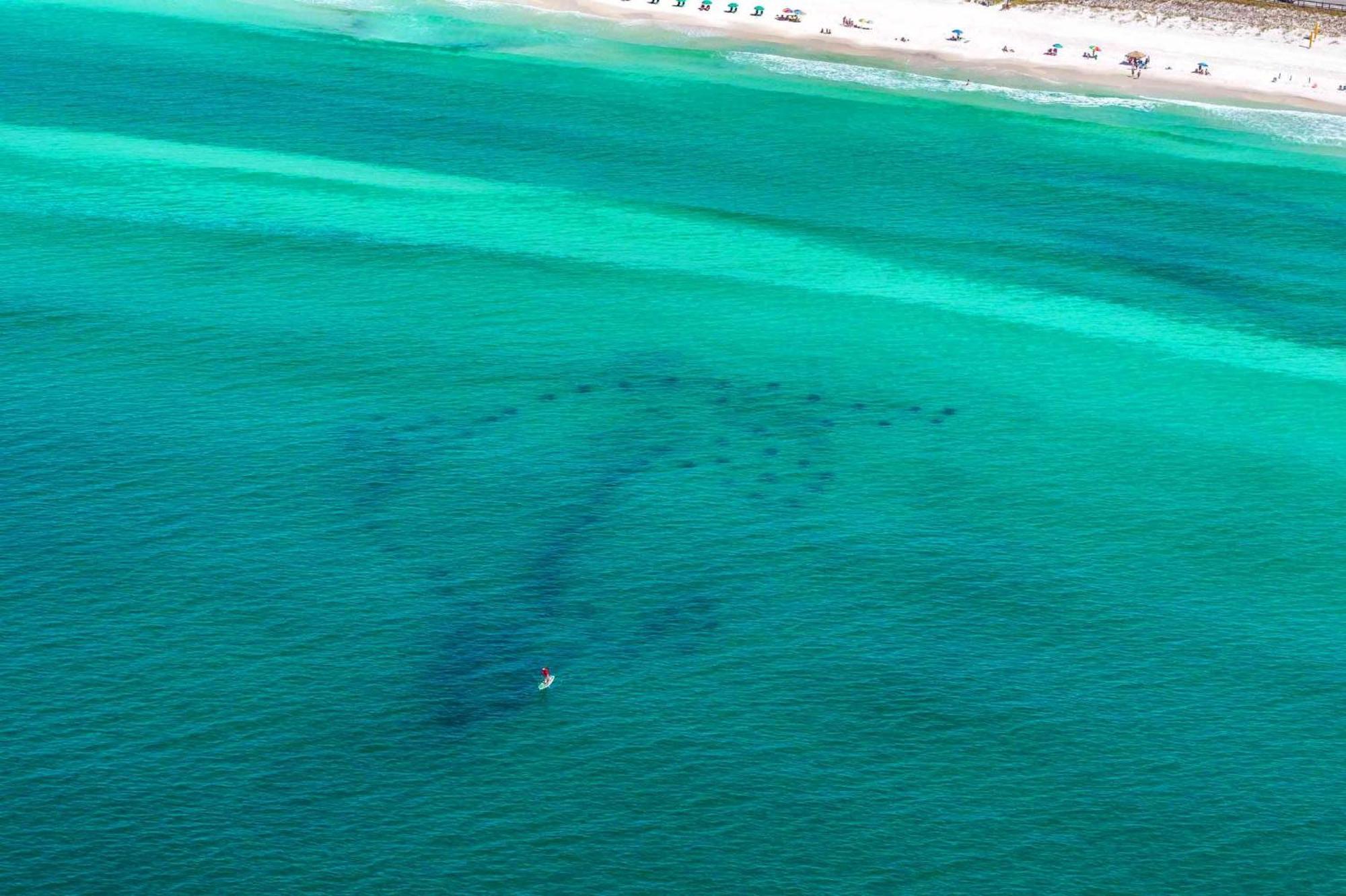 Shore Enough Destin Exterior foto